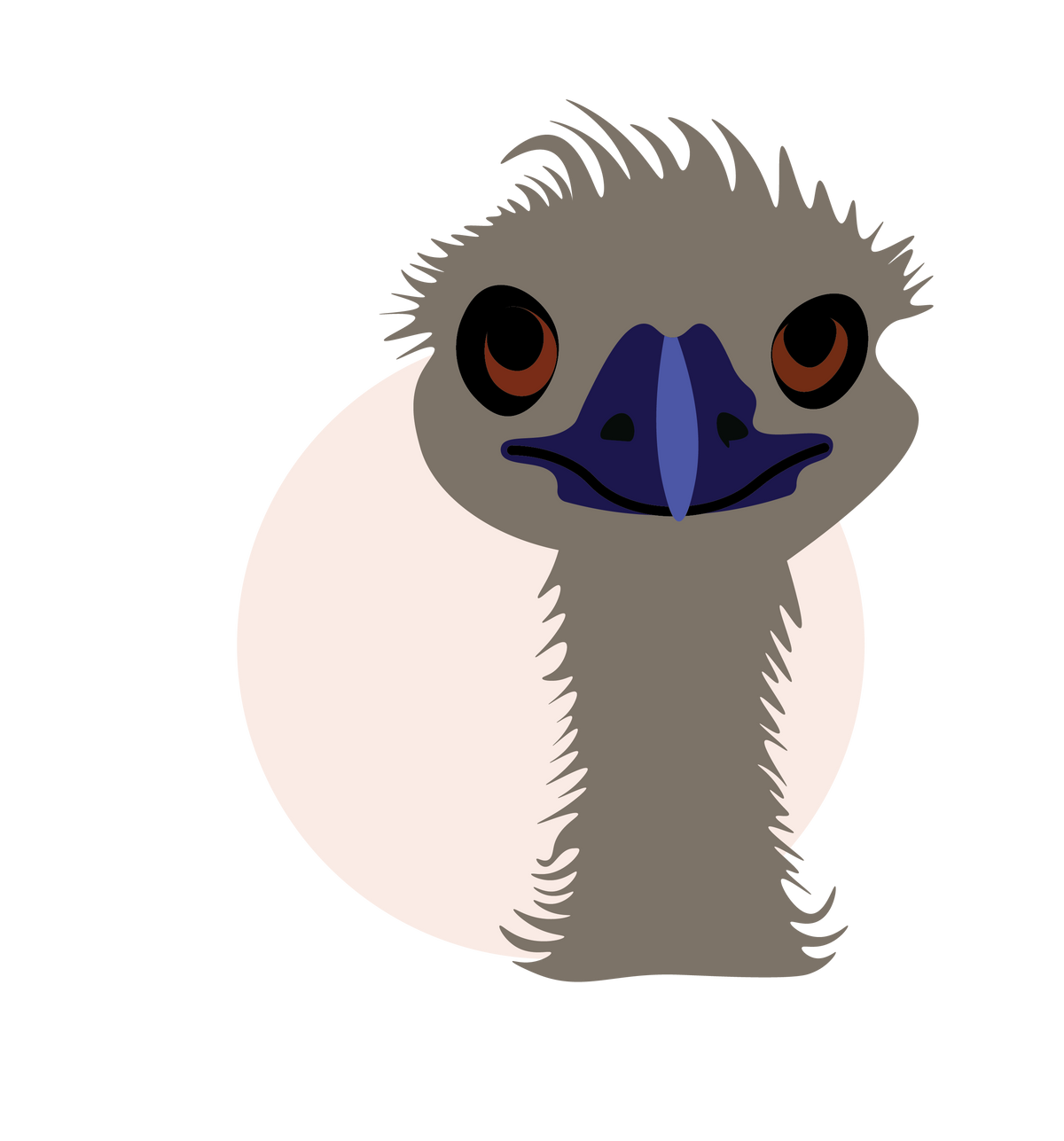 Native Aussie Animals
